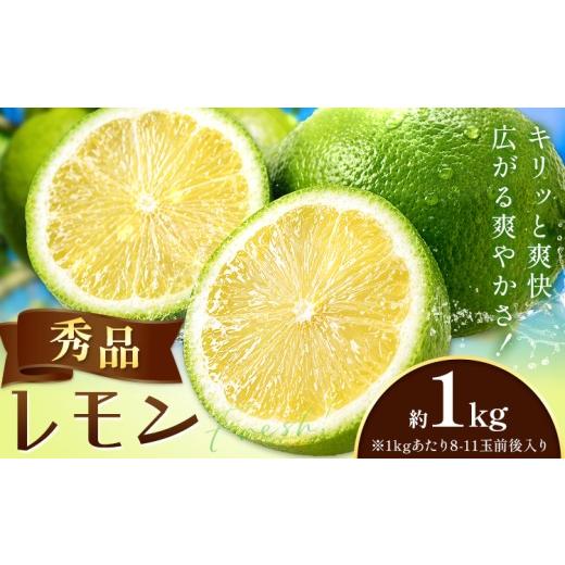 ふるさと納税 みかん・柑橘類 レモン 和歌山県 紀の川市 レモン 秀品 緑色 檸檬 1kg (1kgあたり8-11玉前後) 株式会社農業福祉研究機構[10月上旬-11月上旬頃出…