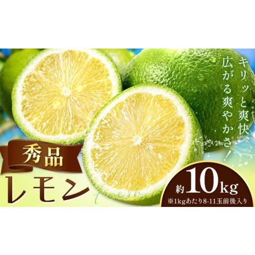 ふるさと納税 みかん・柑橘類 レモン 和歌山県 紀の川市 レモン 秀品 緑色 檸檬 10kg (1kgあたり8-11玉前後) 株式会社農業福祉研究機構[10月上旬-11月上旬頃…