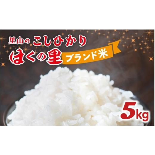 ふるさと納税 米 コシヒカリ 石川県 かほく市 里山のこしひかり ほくの里 5kg × 1袋 | 令和7年産 災害支援 こしひかり コシヒカリ ブランド米 銘柄米 お米 コ…