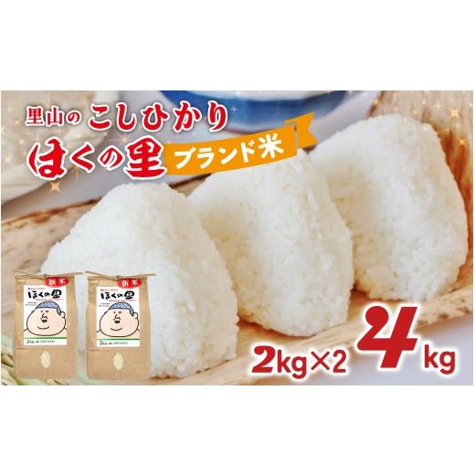 ふるさと納税 米 コシヒカリ 石川県 かほく市 里山のこしひかり ほくの里 2kg × 2袋 計4kg | 令和7年産 こしひかり コシヒカリ ブランド米 銘柄米 災害支援 …