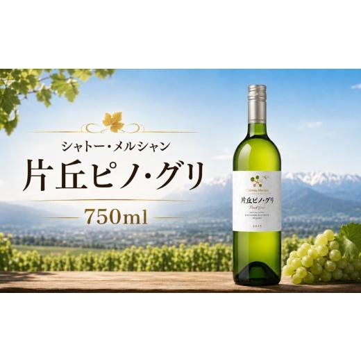 ふるさと納税 ワイン 白ワイン 長野県 塩尻市 シャトー・メルシャン 片丘ピノ・グリ | ワイン 白 白ワイン ピノ・グリ 片丘ヴィンヤード シャトー・メルシャン…