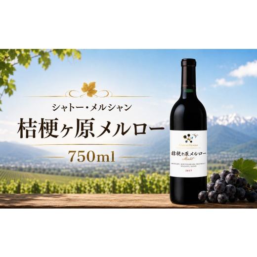 ふるさと納税 ワイン 赤ワイン 長野県 塩尻市 シャトー・メルシャン 桔梗ヶ原メルロー | ワイン 酒 赤 赤ワイン メルロ メルロー 片丘ヴィンヤード シャトー・…