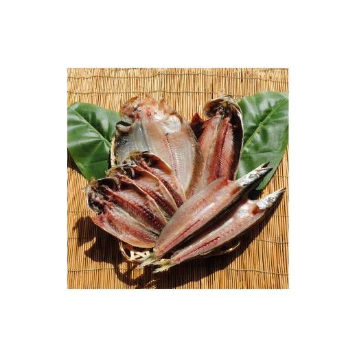 ふるさと納税 干物 神奈川県 小田原市 国産魚使用 こだわり旬の干物セット お取り寄せ 海鮮 グルメ ギフト プレゼント 産地直送 産直 魚 手作り ひもの 詰め…