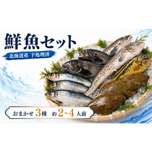 ふるさと納税 魚貝類 北海道 標津町 お試し 北海道産 天然 鮮魚 おまかせ 3種 セット 詰め合わせ 約2~4人前 冷凍 下処理 済 切り身 国産 タラ ソイ ニシン カ…