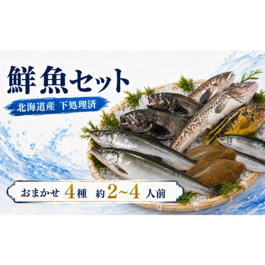ふるさと納税 魚貝類 北海道 標津町 北海道産 天然 鮮魚 おまかせ 4種 セット 詰め合わせ 約2~4人前 冷凍 下処理 済 切り身 国産 タラ ソイ ニシン カレイ サ…