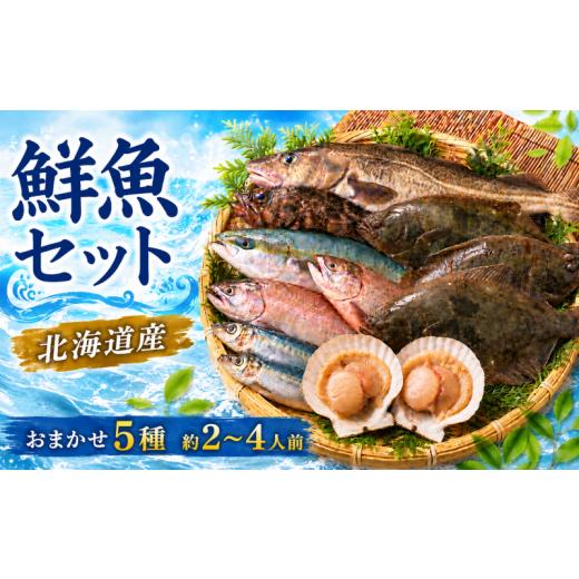 ふるさと納税 魚貝類 北海道 標津町 国産ホタテ付き 北海道産 天然 鮮魚 おまかせ 5種 セット 詰め合わせ 約2~4人前 冷凍 下処理 済 切り身 国産 新鮮 鮮魚ボ…