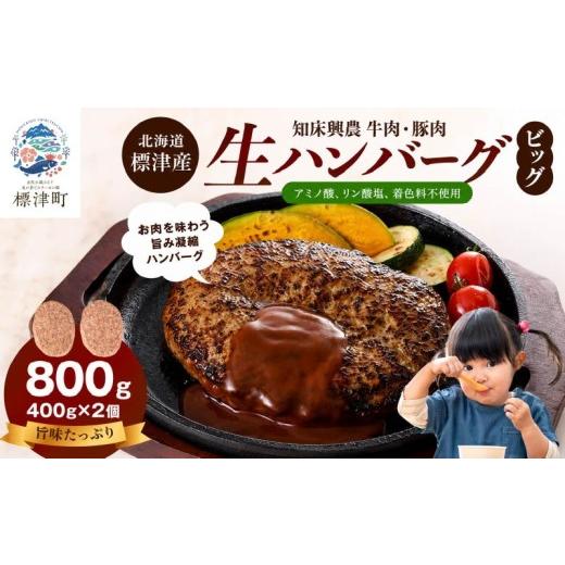 ふるさと納税 牛肉 ハンバーグ 北海道 標津町 北海道産 生ハンバーグ ビッグ 800g ( 400g × 2個 セット ) 冷凍 手作り ハンバーグ 国産 保存料不使用 牛肉 豚…