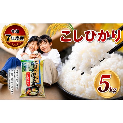 ふるさと納税 米 コシヒカリ 栃木県 那珂川町 栃木県共通返礼品 令和7年度産 栃木県産 こしひかり 白米 5kg | 発送 ふるさと 納税 コシヒカリ お米 精米 白米…
