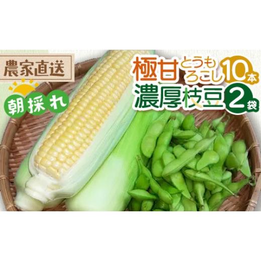 ふるさと納税 セット・詰合せ 栃木県 宇都宮市 朝採れ 極甘とうもろこし(10本)&濃厚枝豆(2袋)のセット | ゴールドラッシュ えだまめ 夏野菜 旬 新鮮 産…