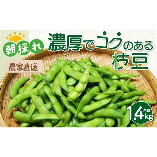 ふるさと納税 豆類 枝豆 栃木県 宇都宮市 朝採れ 手が止まらない 濃厚でコクのある枝豆 枝なし 280g×5袋 | 味風香 湯あがり娘 えだまめ 夏野菜 旬 新鮮 産地…