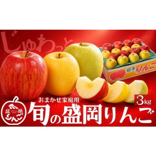 ふるさと納税 果物の詰合せ 岩手県 盛岡市 先行予約 訳あり 旬の盛岡りんご 3kg 品種2種以上詰め合わせ <年内発送> りんご シナノゴールド 王林 こうこ…