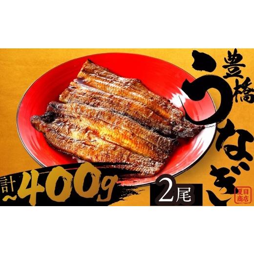 ふるさと納税 うなぎ 愛知県 豊橋市 創業70周年記念特別返礼品 極上 豊橋うなぎ 蒲焼 2尾 ~400g 夏目商店 数量限定 蒲焼2尾:10,000円