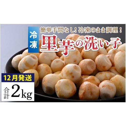 ふるさと納税 人参・大根・他根菜 福井県 大野市 先行予約 12月発送 簡単手間なし 冷凍のまま調理 大野の里芋の洗い子 計2kg (1kg × 2袋) 冷凍 | 里芋 洗い…