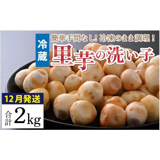 ふるさと納税 人参・大根・他根菜 福井県 大野市 先行予約 12月発送 越前大野の里芋の洗い子 2kg 冷蔵 | 里芋 洗い子 箱