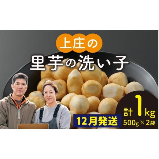 ふるさと納税 人参・大根・他根菜 福井県 大野市 先行予約 12月発送 皮むきいらず、煮っ転がしに最適 上庄の里芋の洗い子 1kg 冷凍