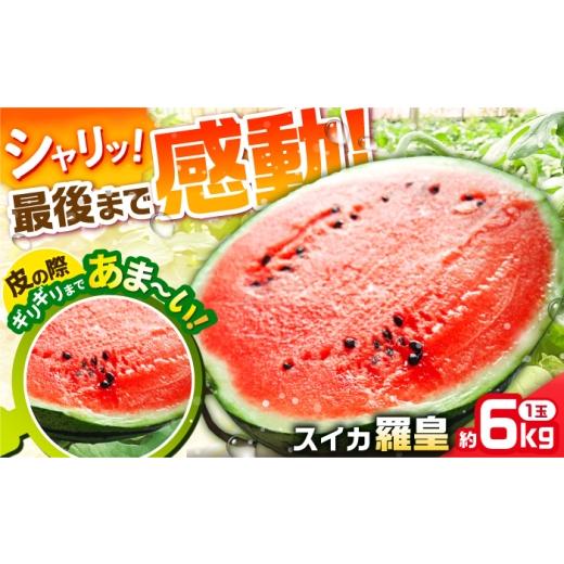 ふるさと納税 スイカ 長崎県 - 甘〜い 大玉 シャリっと感がたまらない スイカ 羅皇(ラオウ)1玉 / すいか 42A
