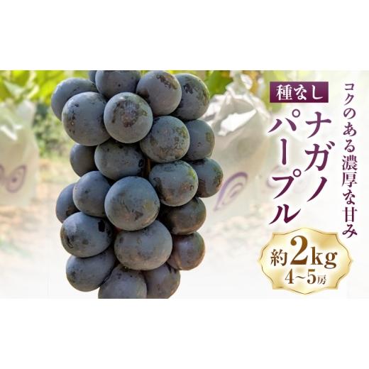 ふるさと納税 果物類 ぶどう 長野県 上田市 ナガノパープル約2kg(4〜5房) ぶどう 葡萄 種なし 果物 上田市  