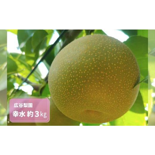 ふるさと納税 梨 千葉県 四街道市 幸水 約3kg / 広谷梨園 / 梨 なし 果物