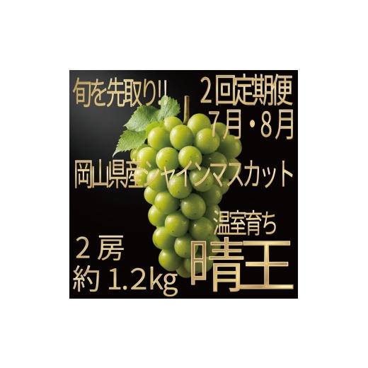 ふるさと納税 ぶどう マスカット 岡山県 玉野市 HS 定期便全2回 ぶどう先行予約7月・8月発送温室シャインマスカット晴王2房(合計約1.2kg)ブドウ 葡萄 岡山…