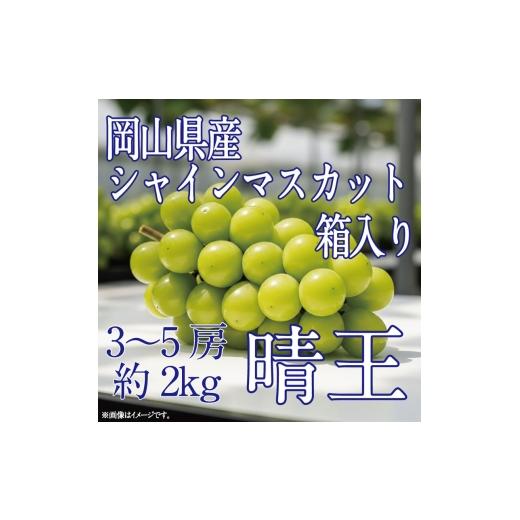 ふるさと納税 ぶどう マスカット 岡山県 玉野市 HS ぶどう先行予約9月・10月発送シャインマスカット晴王2kg箱(3〜5房)ブドウ 葡萄 岡山県産 国産 フルーツ …