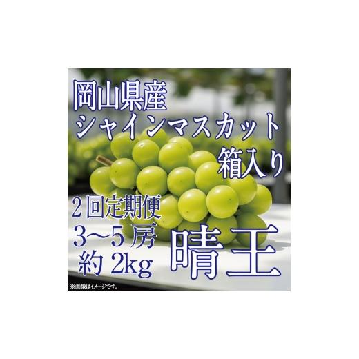 ふるさと納税 ぶどう マスカット 岡山県 玉野市 HS 定期便全2回 ぶどう先行予約9月・10月発送シャインマスカット晴王2kg箱(3〜5房)ブドウ 葡萄 岡山県産 国…