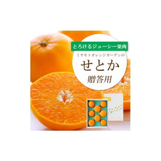 ふるさと納税 みかん・柑橘類 愛媛県 八幡浜市 先行受付 とろける濃厚柑橘 せとか ギフトボックス入り E25-98 _柑橘 ミカン せとか オレンジ フルーツ 果物 …