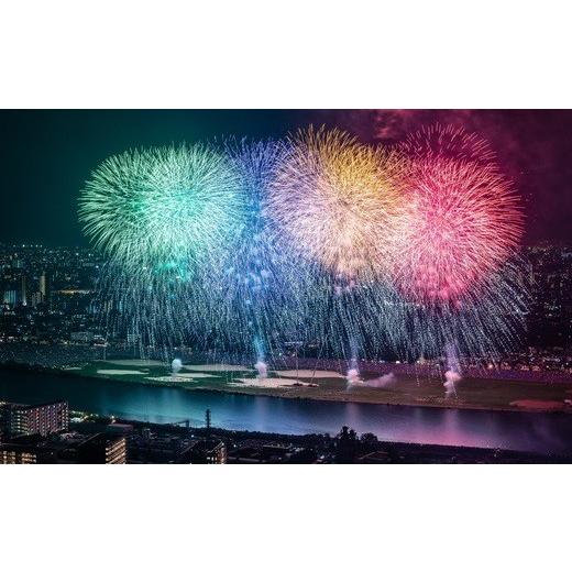 ふるさと納税 花火大会チケット 千葉県 市川市 市川市民納涼花火大会 ふるさと納税取り扱いチケット 自由席