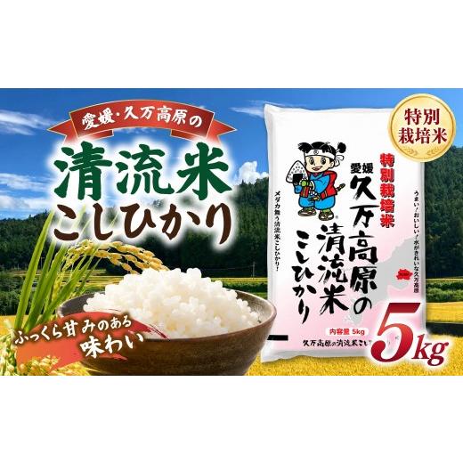 ふるさと納税 米 コシヒカリ 愛媛県 久万高原町 R8年産 新米 久万高原町 清流米 こしひかり 5kg|特別栽培米 減農薬 減化学肥料 コシヒカリ 白米 愛媛県産 米…