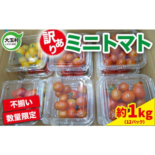 ふるさと納税 トマト ミニトマト 福島県 大玉村 訳あり 野菜 ミニトマト 約 1kg もったいない野菜 数量限定