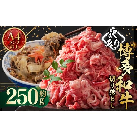 ふるさと納税 牛肉 バラ(カルビ) 福岡県 嘉麻市 訳あり 博多和牛A4ランク以上 切り落とし 約250g お肉 肉 ニク にく 牛肉 牛 博多和牛 和牛 バラ バラ肉 赤身