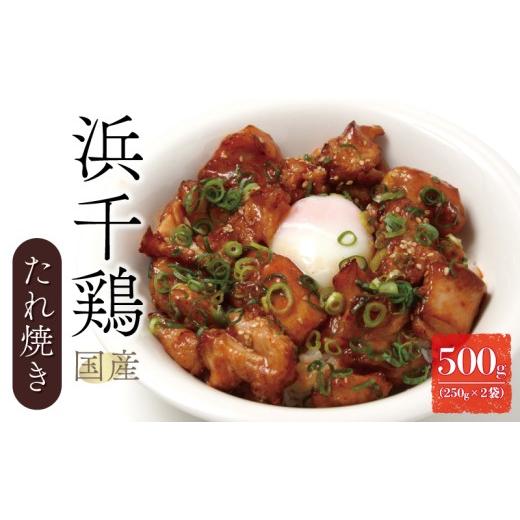 ふるさと納税 鶏肉 焼き鳥 愛媛県 愛南町 2026年7月発送 先行予約 愛媛県産 地鶏 浜千鶏 たれ焼き 500g (250g×2) 老舗 亀一 謹製 鶏肉 うなぎのタレ 秘伝の…