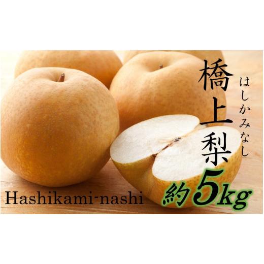 ふるさと納税 梨 大分県 国東市 先行予約 令和8年発送 /辰口農園の橋上梨約5kg(品種:秋麗)_2762R
