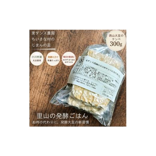 ふるさと納税 加工品等 長野県 小川村 280*麦ダンス農園の大豆がテンペになりました 300g