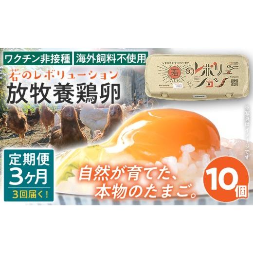 ふるさと納税 卵(鶏、烏骨鶏等) 福岡県 みやこ町 卵 定期便 3回 放牧養鶏卵 10個 「破損補償2個含」 3ヶ月間 若のレボリューション たまご 鶏卵 生卵 卵かけ…
