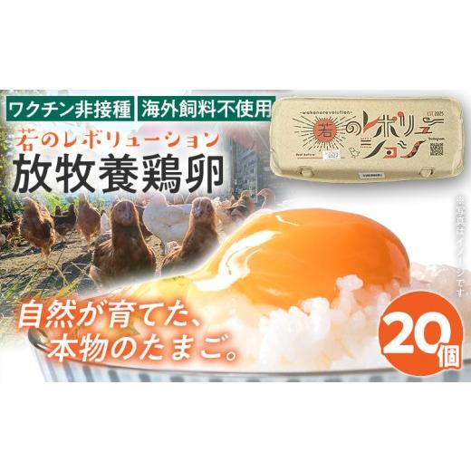 ふるさと納税 卵(鶏、烏骨鶏等) 福岡県 みやこ町 卵 放牧養鶏卵 20個 「破損補償2個含」 若のレボリューション たまご 鶏卵 生卵 卵かけご飯 TKG 国産 ワク…
