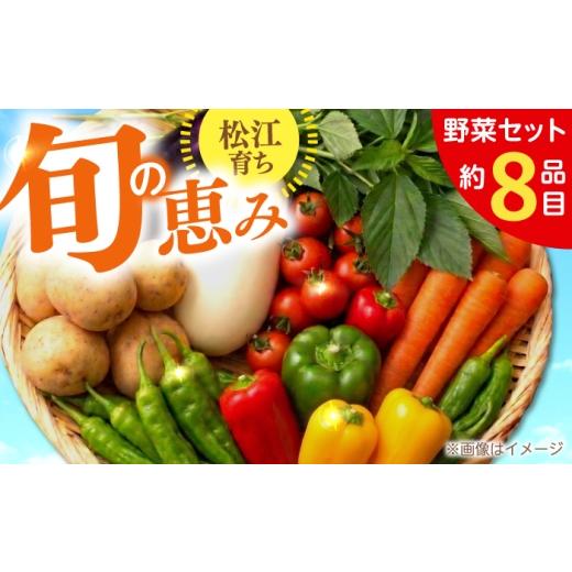 ふるさと納税 セット・詰合せ 島根県 松江市 旬の野菜セット 野菜 産地直送 詰め合わせ 栽培期間中農薬不使用 セット 島根県松江市/須山農園 ALBD004 野菜 …
