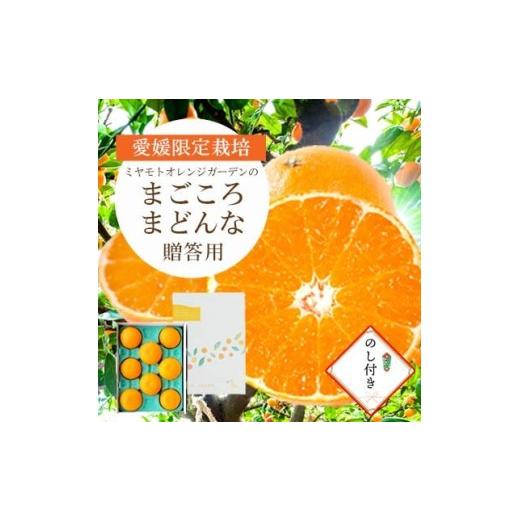 ふるさと納税 みかん・柑橘類 愛媛県 八幡浜市 先行受付 紅まどんなと同品種 愛媛果試28号 贈答箱入り 専用ギフトボックス のし付き D25-170 1536523 YWTAP11…