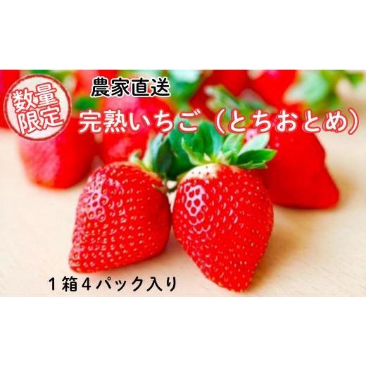 ふるさと納税 いちご 茨城県 利根町 先行予約/数量限定 農家直送 鮮度抜群の完熟苺 いちご(とちおとめ)4パック入り×1箱 4パック入り×1箱