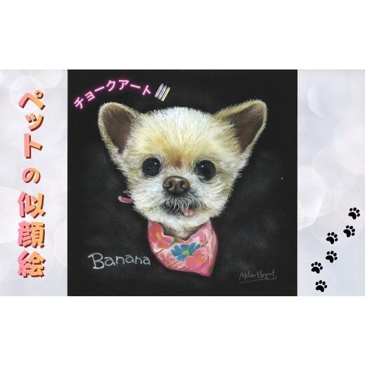 ふるさと納税 雑貨・日用品 絵画 長野県 千曲市 ペットの似顔絵チョークアート | 似顔絵 にがおえ チョークアート ぺっと 信州 長野県 千曲市