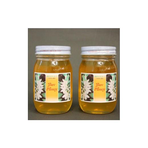 ふるさと納税 加工品等 はちみつ 和歌山県 みなべ町 みかん蜜セット 600g ×2 maruni098