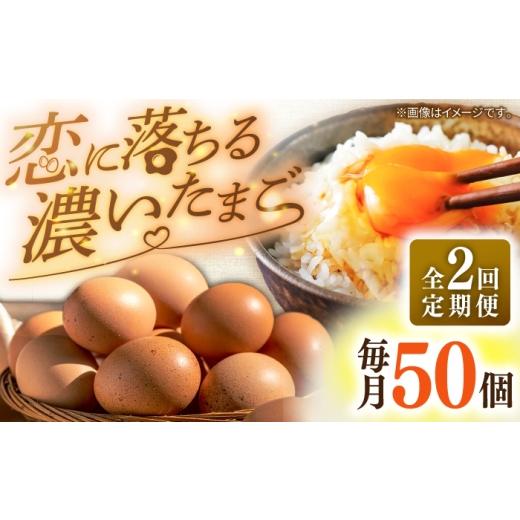 ふるさと納税 卵(鶏、烏骨鶏等) 長崎県 壱岐市 全2回定期便 特選 素直な恋たまご 50個 [壱岐市] しまのたまご屋さん JAP022 卵 たまご 鶏卵 玉子 ギフト …