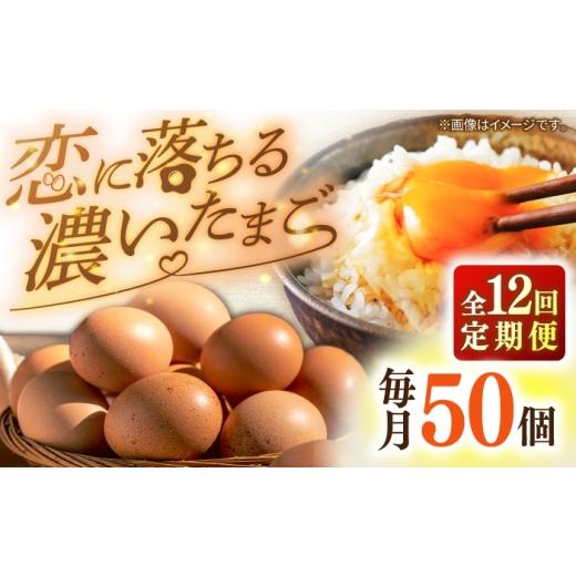 ふるさと納税 卵(鶏、烏骨鶏等) 長崎県 壱岐市 全12回定期便 特選 素直な恋たまご 50個 [壱岐市] しまのたまご屋さん JAP025 卵 たまご 鶏卵 玉子 ギフト…