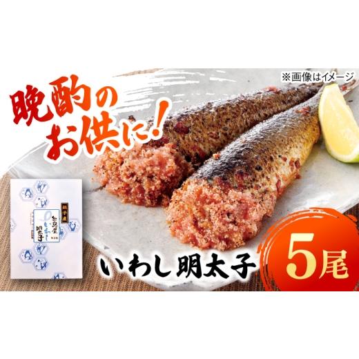ふるさと納税 魚貝類 明太子 福岡県 糸島市 いわし明太子 5尾 糸島市 / 有限会社 糸島海産 / 明太子 / いわし明太