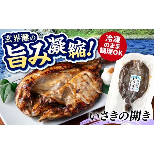 ふるさと納税 魚貝類 福岡県 糸島市 糸島玄界灘産 いさきの開き 1枚 糸島市 / 有限会社 糸島海産 / 開き / 肴
