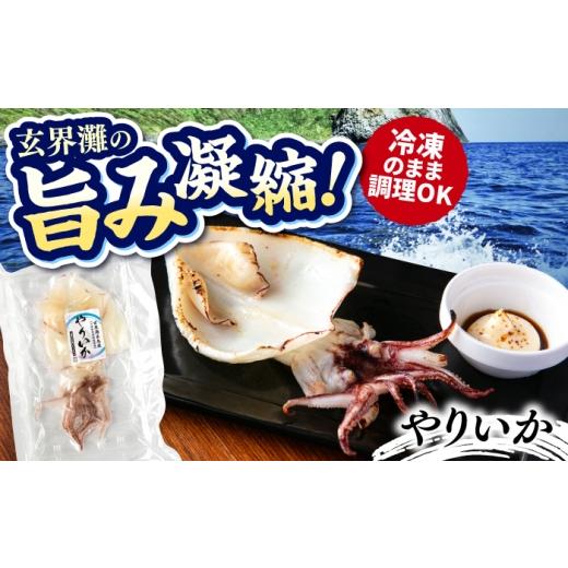ふるさと納税 魚貝類 福岡県 糸島市 糸島玄界灘産 やりいか 1枚 糸島市 / 有限会社 糸島海産 / イカ / 肴