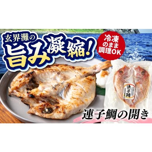 ふるさと納税 魚貝類 福岡県 糸島市 糸島玄界灘産 連子鯛 1枚 糸島市 / 有限会社 糸島海産 / 開き / 肴