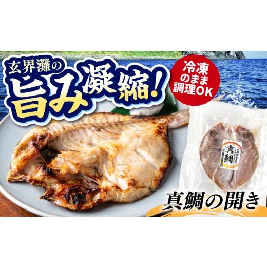 ふるさと納税 魚貝類 福岡県 糸島市 糸島玄界灘産 真鯛 1枚 糸島市 / 有限会社 糸島海産 / 開き / 肴