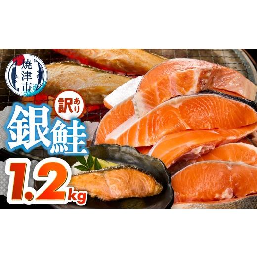 ふるさと納税 鮭・サーモン 静岡県 焼津市 a10-1309 訳あり 銀鮭 切身 約1.2kg 便利なジッパーバック入り