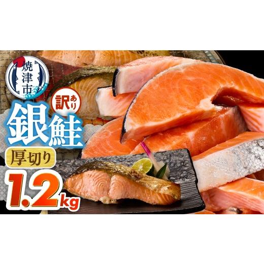 ふるさと納税 鮭・サーモン 静岡県 焼津市 a10-1310 厚切りカット 訳あり 銀鮭 切身 約1.2kg