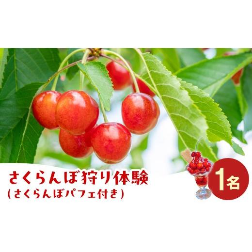 ふるさと納税 体験チケット 山形県 米沢市 さくらんぼ狩り体験(さくらんぼパフェ付) 1名分